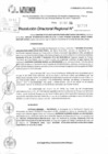 Vista preliminar de documento RDR 11728-2024