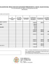 Vista preliminar de documento saldo de balance 2024