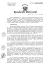 Vista preliminar de documento R.D. N°11-2025-DG-HNHU 