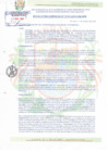 Vista preliminar de documento RESOLUCION DE GERENCIA MUNICIPAL 175-2024-GM-MPB