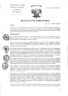 Vista preliminar de documento RD-050-2025-INCN-DG-OP