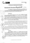 Vista preliminar de documento RDR 11732-2024