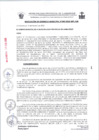 Vista preliminar de documento RG043-2025