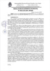 Vista preliminar de documento Resolucion Municipal N° 0026-2025-GM-MPGSC