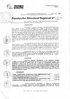 Vista preliminar de documento RDR 11733-2024