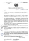 Vista preliminar de documento R.D. Nº 044-2025