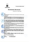 Vista preliminar de documento RD Nº 028-2025-DG-INSM