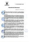 Vista preliminar de documento RD Nº 029-2025-DG-INSM