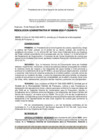 Vista preliminar de documento 88