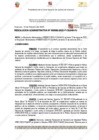 Vista preliminar de documento 92