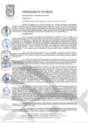 Vista preliminar de documento Ordenanza Municipal N.° 517-MVES