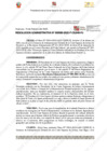 Vista preliminar de documento 95
