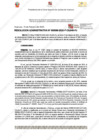 Vista preliminar de documento 96