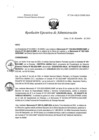 Vista preliminar de documento REA N° 236-OEA-INMP-2024