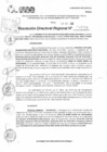 Vista preliminar de documento RDR 11738-2024