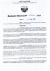 Vista preliminar de documento RDL-Nº-000313-2025-GRU-DREU-UGEL-CP
