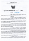 Vista preliminar de documento RDL-Nº-000310-2025-GRU-DREU-UGEL-CP