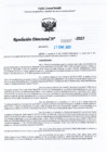 Vista preliminar de documento RDL-Nº-000307-2025-GRU-DREU-UGEL-CP