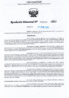 Vista preliminar de documento RDL-Nº-000314-2025-GRU-DREU-UGEL-CP