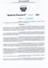 Vista preliminar de documento RDL-Nº-000317-2025-GRU-DREU-UGEL-CP