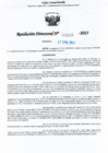Vista preliminar de documento RDL-Nº-000315-2025-GRU-DREU-UGEL-CP