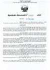 Vista preliminar de documento RDL-Nº-000322-2025-GRU-DREU-UGEL-CP