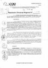 Vista preliminar de documento RDR 11741-2024