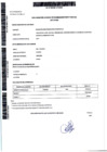 Vista preliminar de documento Declaraciones Juradas de Bienes y Rentas Diana Castro Vergara