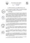 Vista preliminar de documento R.E.R Nº 010-2025-GR PUNO GR