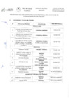 Vista preliminar de documento cronograma