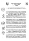 Vista preliminar de documento R.E.R Nº 033-2025-GR PUNO GR