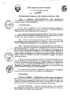 Vista preliminar de documento R.E.R Nº 041-2025-GR PUNO GR