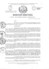 Vista preliminar de documento RESOLUCION DIRECTORIAL N° 00797-2024