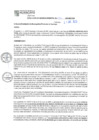 Vista preliminar de documento RGM N°036