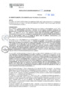 Vista preliminar de documento RGM N°033