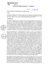 Vista preliminar de documento RGM N°037