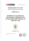 Vista preliminar de documento POI 2025 CONSISTENTE CON EL PIA 2025