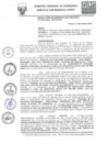 Vista preliminar de documento Resolución Gerencial Sub Regional N.° 029-2021-GR.CAJ.CHO