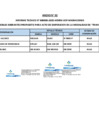 Vista preliminar de documento ANEXO N° 02