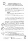 Vista preliminar de documento RGGR0020-2025