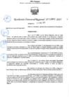 Vista preliminar de documento 042 2025