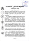 Vista preliminar de documento RER 081-2025-GOB