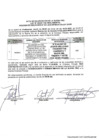 Vista preliminar de documento Acta de adjudicacion de Buena Pro
