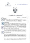Vista preliminar de documento RD N°038-02-2025-DE-HCLLH-MINSA