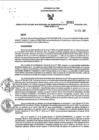 Vista preliminar de documento RASR_2025_1