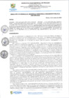 Vista preliminar de documento rgi33