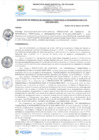 Vista preliminar de documento rgi53