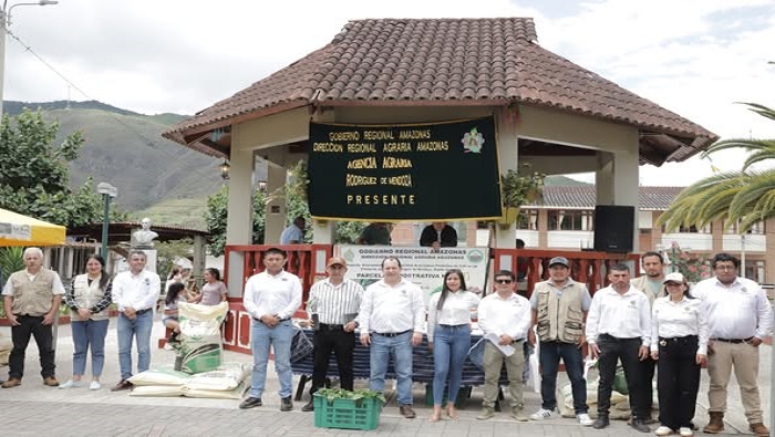 ABONOS 3