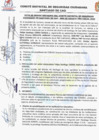 Vista preliminar de documento (01) SESION AGOSTO CODISEC