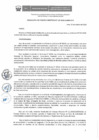 Vista preliminar de documento resolucion_consejo_di...